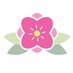 Soap Flower Shop (@soapflowershop) Twitter profile photo Soap Flower Shop (@soapflowershop) Twitter profile photo