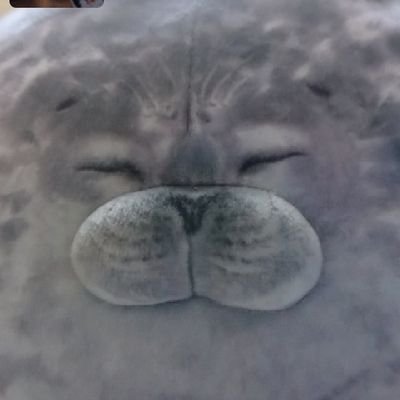 森永 珊瑚さんのプロフィール画像