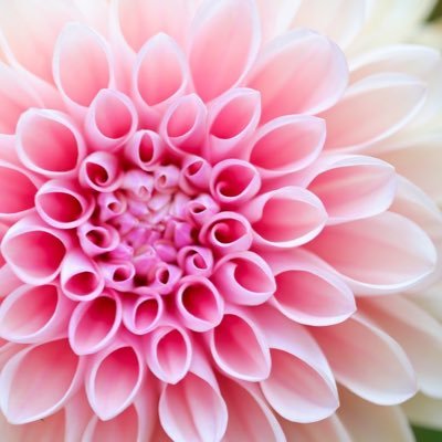 -Health & Wellness, Begins from Within- The Minds essential need for Love, Compassion, & Human Touch💖