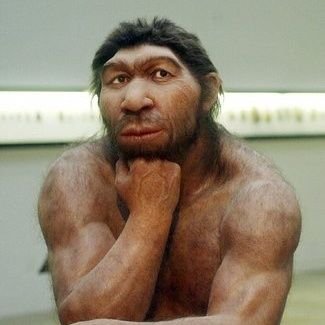 Neanderthal55 Profile Picture
