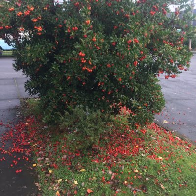 AgriculturalPr4's profile picture. 