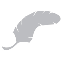 vwcurabula's profile picture. sobrevoando formas e espaços culturais.