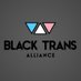 Black Trans Alliance C.I.C (@BlkTAlliance) Twitter profile photo