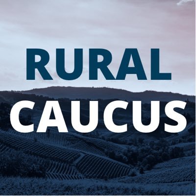 Supporting progressive organizing and self-determination in rural America's small towns and cities through the Indivisible model.