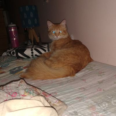 dedosconaji's profile picture. canalizando el resentimiento en destruccion