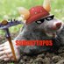 Somanytopos (@somanytopos) Twitter profile photo Somanytopos (@somanytopos) Twitter profile photo