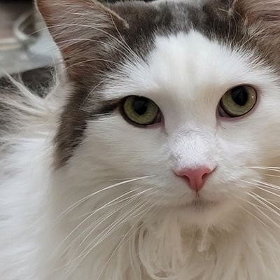 fdrdrive2towers's profile picture. In Love With Life.