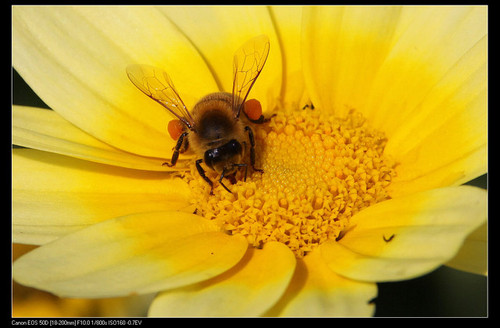 una3265833's profile picture. 