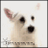 v_pronkin777's profile image