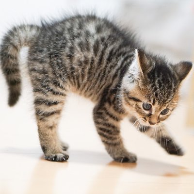 xGRbhIoXPlkNEBt's profile picture. 空を見上げるのが大好き☆早稲田大学を中心に勉強会をやっています。「生きる」を学ぶ哲学。一度きりの人生、悔いなく過ごしたい！何をやったら満足できるのか。良かったらフォローしてください。