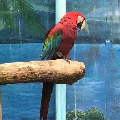 Refractorytech's profile picture. CERAMIC fiber product