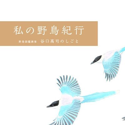 日本野鳥の会発足の地、東京・杉並・善福寺で生まれ過ごしている、野鳥図鑑画家・谷口高司の活動を発信します。本人はＡ型亥年魚座のアナログな男なので、ＡＢ型申年蟹座のマネージャーの嫁がつぶやかせて頂きます。