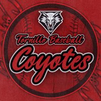 Tornillo Baseball(@TornilloBaseba1) 's Twitter Profile Photo