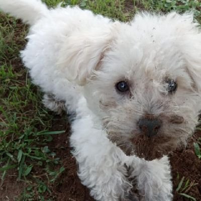 FR4ANNN_B's profile picture. light weight baby
arg 🇦🇷
Boca Juniors 🇸🇪