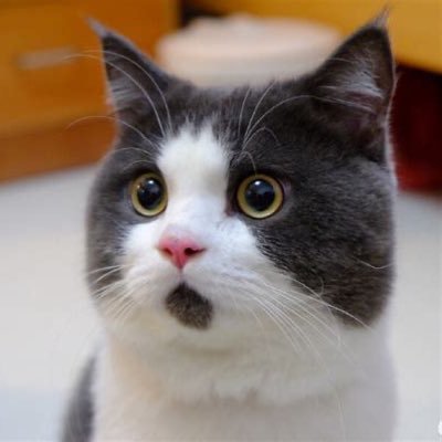 AndyComeOn's profile picture. 