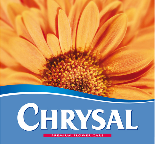 ChrysalUSA's profile picture. Giving a beautiful flower all it needs today, to stay beautiful tomorrow.