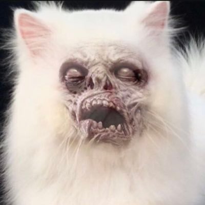 JediJeda69's profile picture. eatin ass?