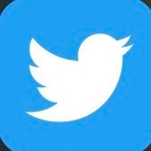 noyfbtfo's profile picture. 