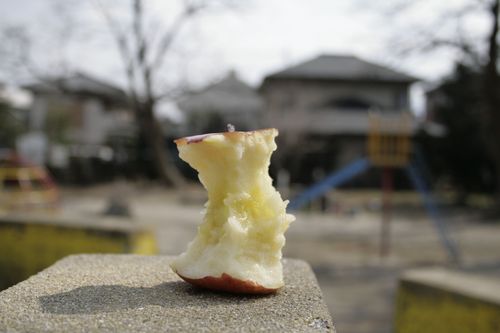 xkadox's profile picture. パーマ屋