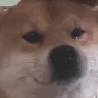 xinxiaodai's profile picture. Delete Tweets,I don't know anything.