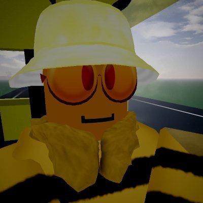 Howdy, I'm beeba. Professional ROBLOX idiot and casual bee.