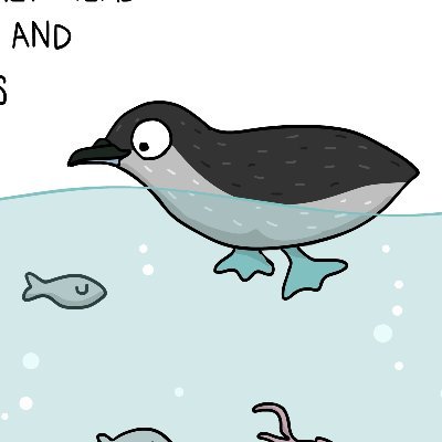 Recovering the Flying Penguins of Aotearoa: Kuaka (Whenua Hou Diving Petrels)