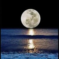 (أبوأحمد) (@mghyaty) Twitter profile photo