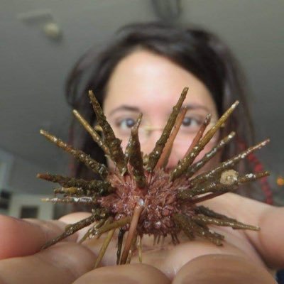 Researcher @ifremer_fr on cumulative pressures and their impact on coastal marine ecosystems