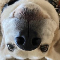givemebackmypurse (@givemebackmypu1) 's Twitter Profile Photo givemebackmypurse (@givemebackmypu1) 's Twitter Profile Photo