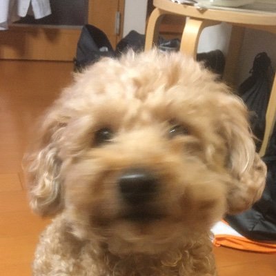 tmkk1849's profile picture. 