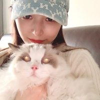 Yihan (@yihan54586333) 's Twitter Profile