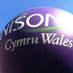 UNISON Cymru/Wales (@UNISONWales) Twitter profile photo