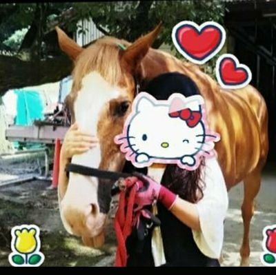 🌷I'm a private kindergarten teacher⛪️. I've been involved with horses since I was a child.🐎💕