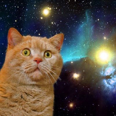 summer_wingzero's profile picture. 20↑/固ツイも見てください/人とお話するのが苦手なので、いいねやリポストが多めです。気になった方には無言フォローしますが、このアカウントを見て嫌だな、苦手だなと思ったらブロックしていただいて構いません。スパム系アカは即ブロックします。
