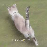 ソラママ😺😺💕 (@ucrevuwi7xf5cqs) 's Twitter Profile Photo ソラママ😺😺💕 (@ucrevuwi7xf5cqs) 's Twitter Profile Photo