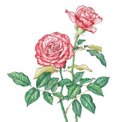 花ぬり絵さんのプロフィール画像