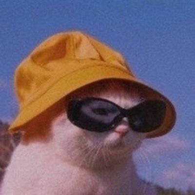kitさんのプロフィール画像
