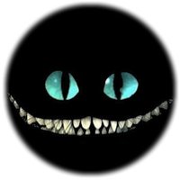 Kea πΎπ (@keatiki) 's Twitter Profile Photo Kea πΎπ (@keatiki) 's Twitter Profile Photo