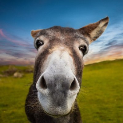 new to twitter. i love hay and the endless realm of outer space. :D cool