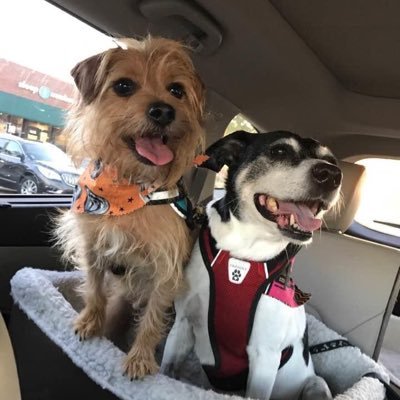 jennymandel82's profile picture. 