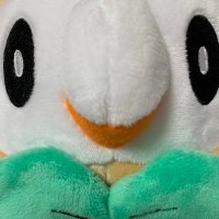 レイシ (@belmopanmwam) Twitter profile photo