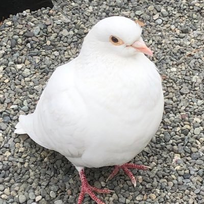 ゆちさんのプロフィール画像