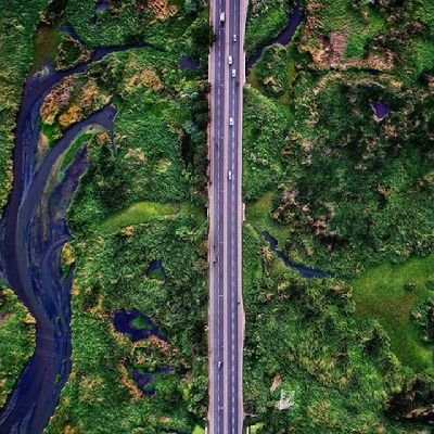 JrDavidben's profile picture. Highlander hailing from Western Ghats  an Diary Former 🐄, traveller & trekker.
Do coding when I have some time to spend.