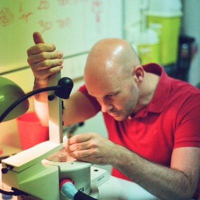Developing imaging methods in cryo-EM,
Cryo-Scanning Transmission Electron Tomography, Microscope Automation and Software Development.