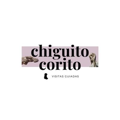 Chiquito Corito Tours somos Laura,  Aroa,  Marta, Sergio, Esther y Carol,  un grupo de guías jóvenes de la ciudad de Palencia amantes de nuestra ciudad.