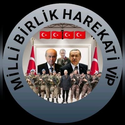 Milli Birlik Hareketi Grupları 2