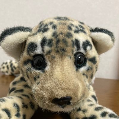 ちーたー Profile