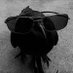 SAWG Sbvss (@sbvss_is_sexy) Twitter profile photo SAWG Sbvss (@sbvss_is_sexy) Twitter profile photo