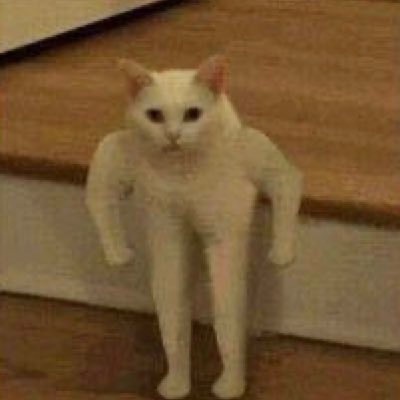 CarlieMalonson's profile picture. only 89.9309% of you are subscribed