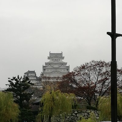 花開，花散，花紛飛：花落，花謝，花凋零。
人生宛如花朵一般，需經歷這無盡歷程；
或許有不少的坎坷，但那景色已存心中。